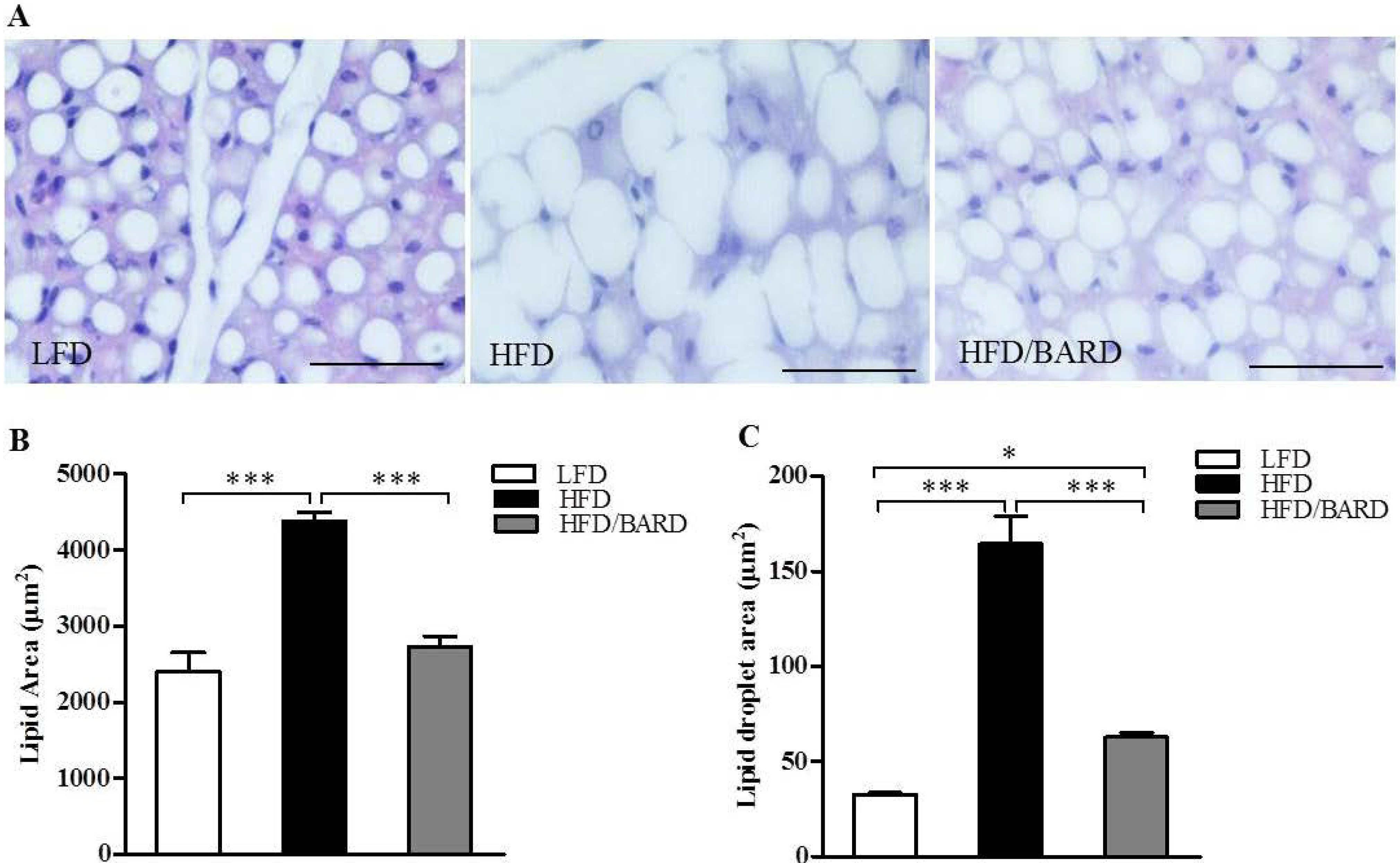 Nutrients 07 04705 g001a
