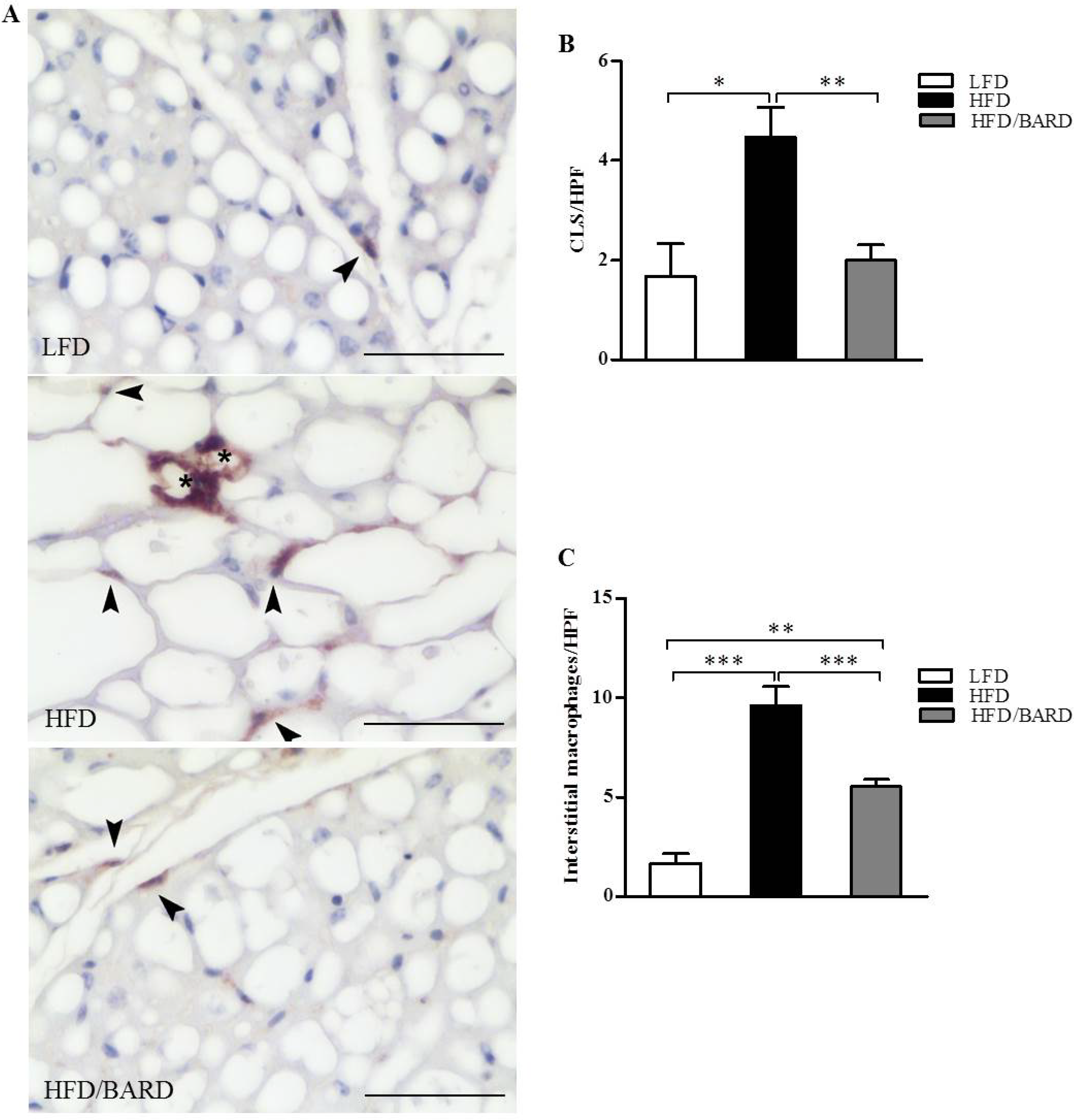 Nutrients 07 04705 g002