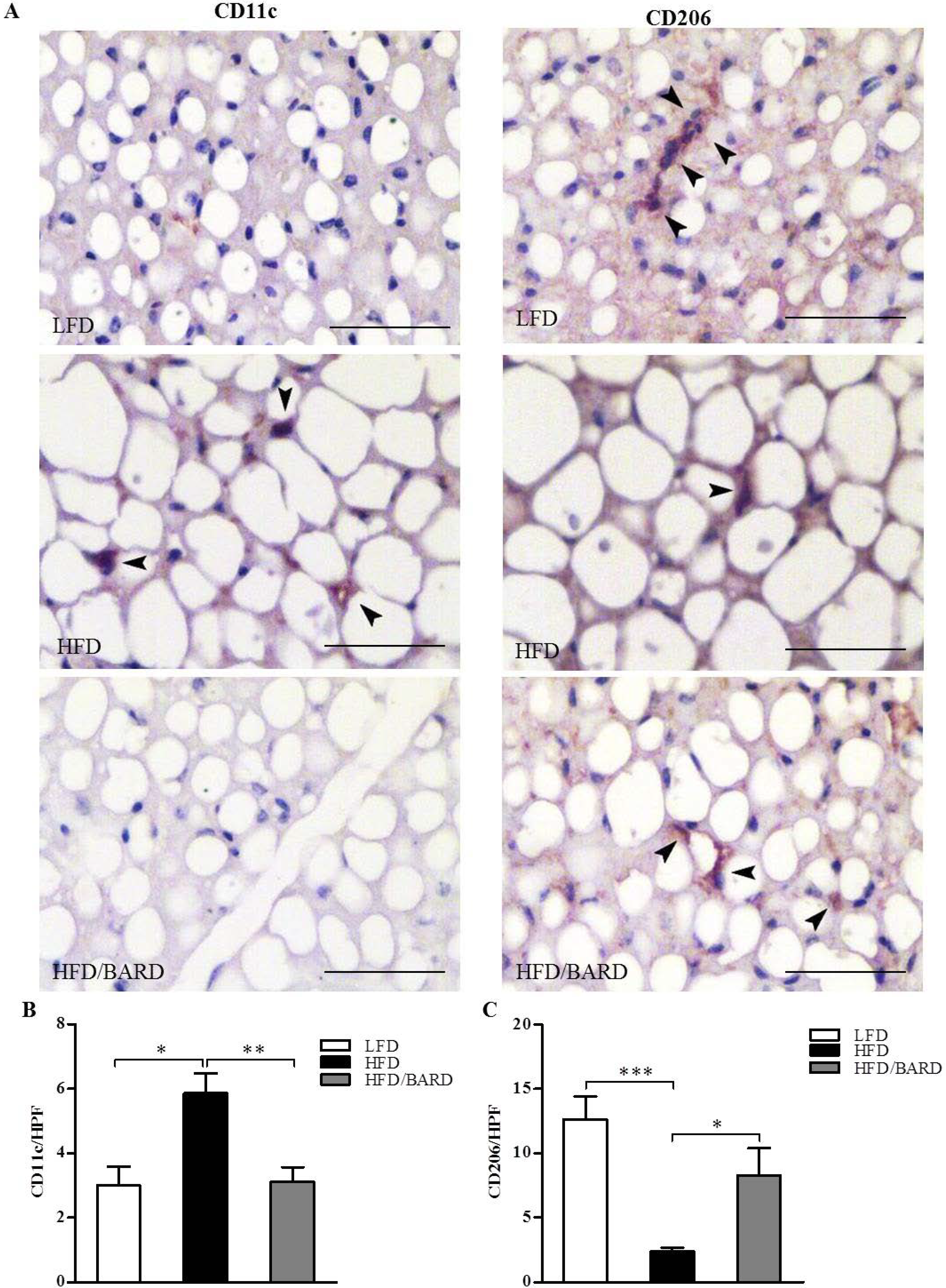 Nutrients 07 04705 g003