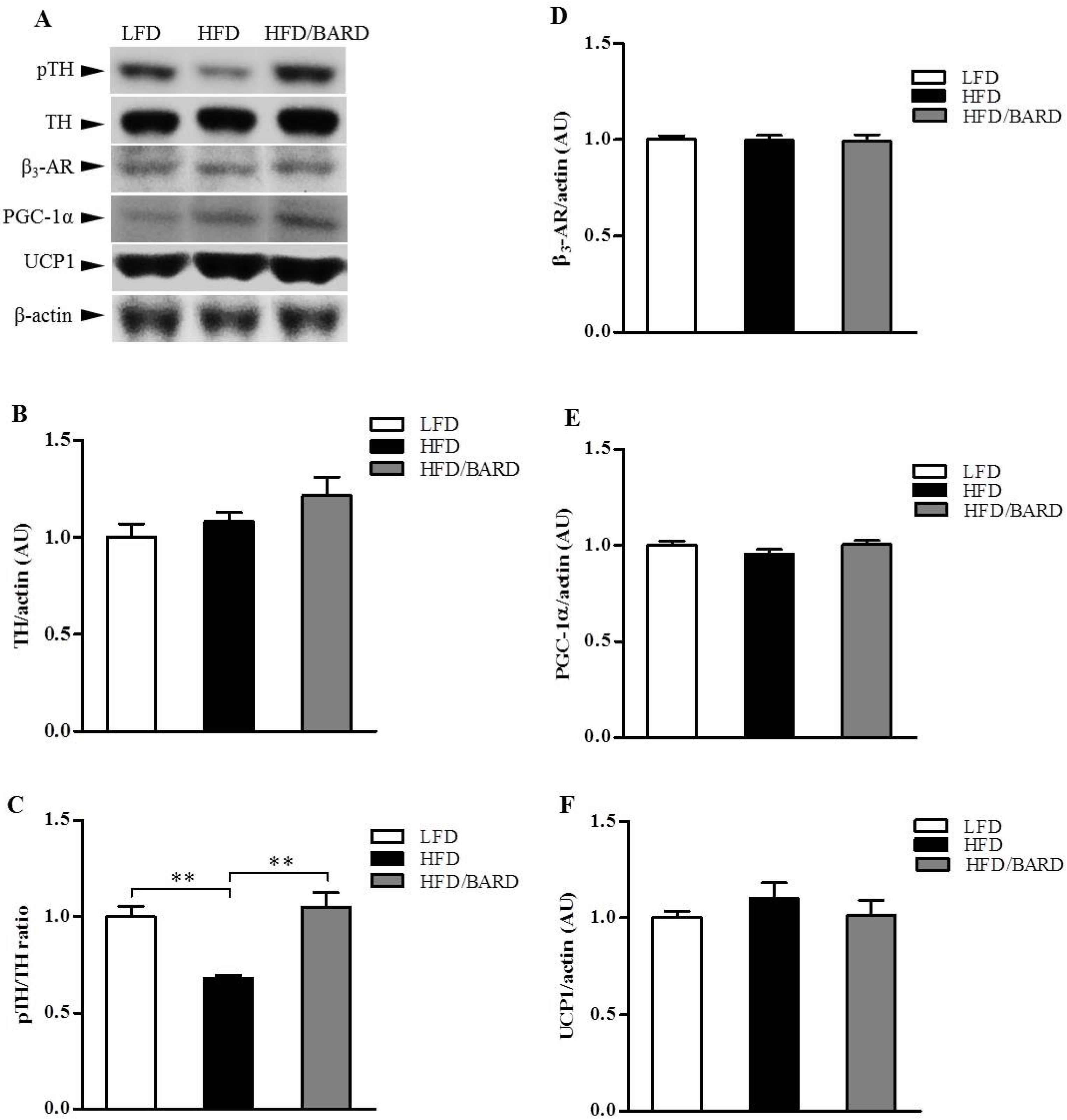 Nutrients 07 04705 g004