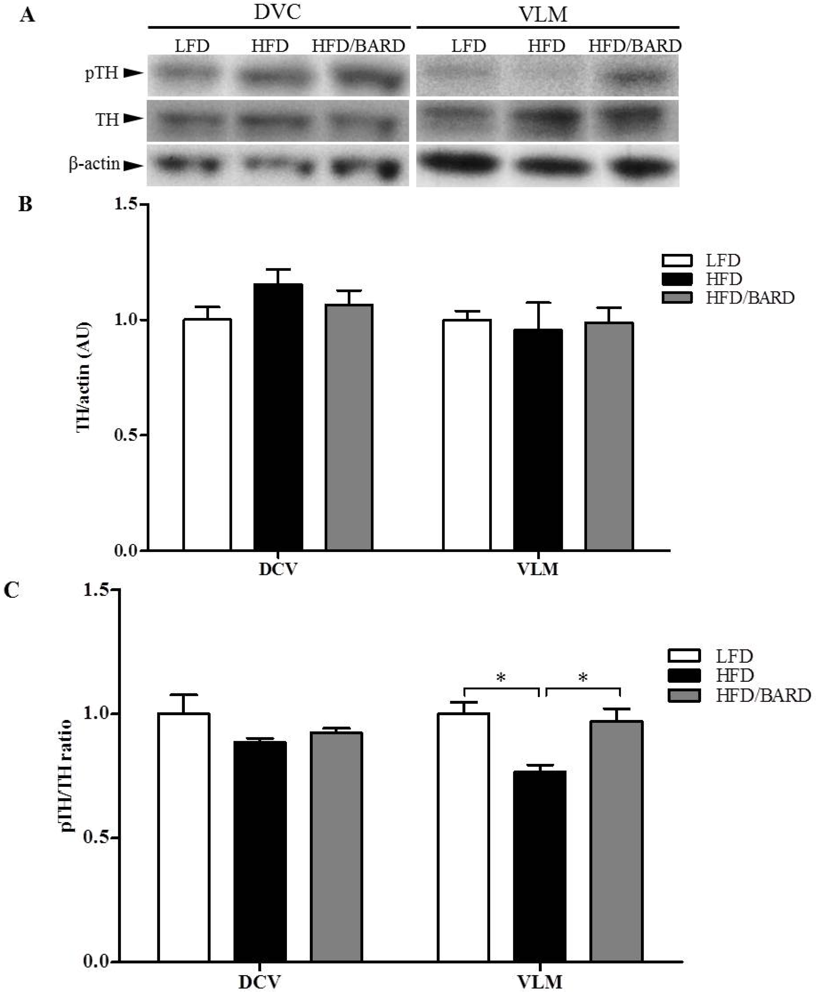 Nutrients 07 04705 g005