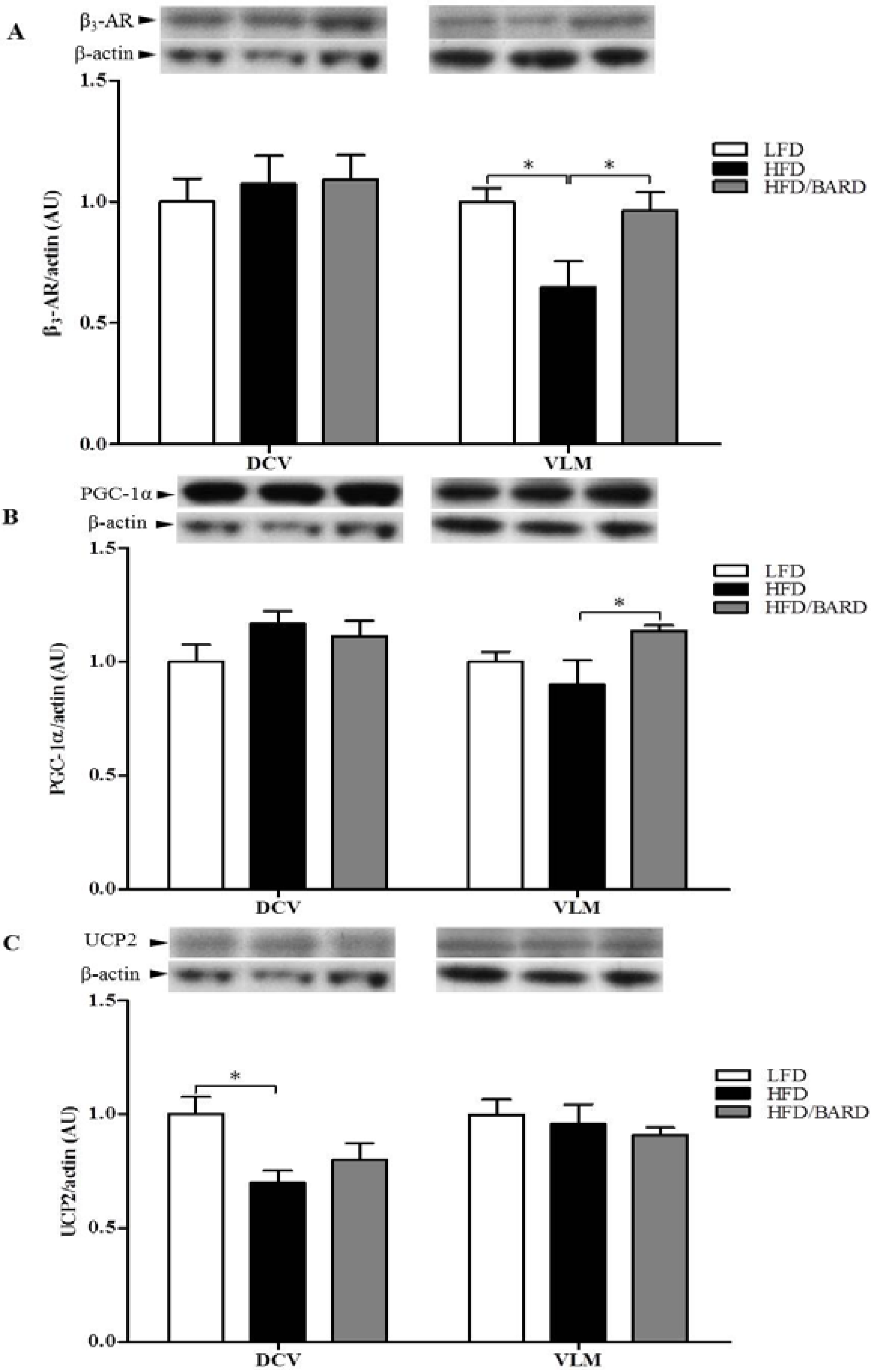 Nutrients 07 04705 g006