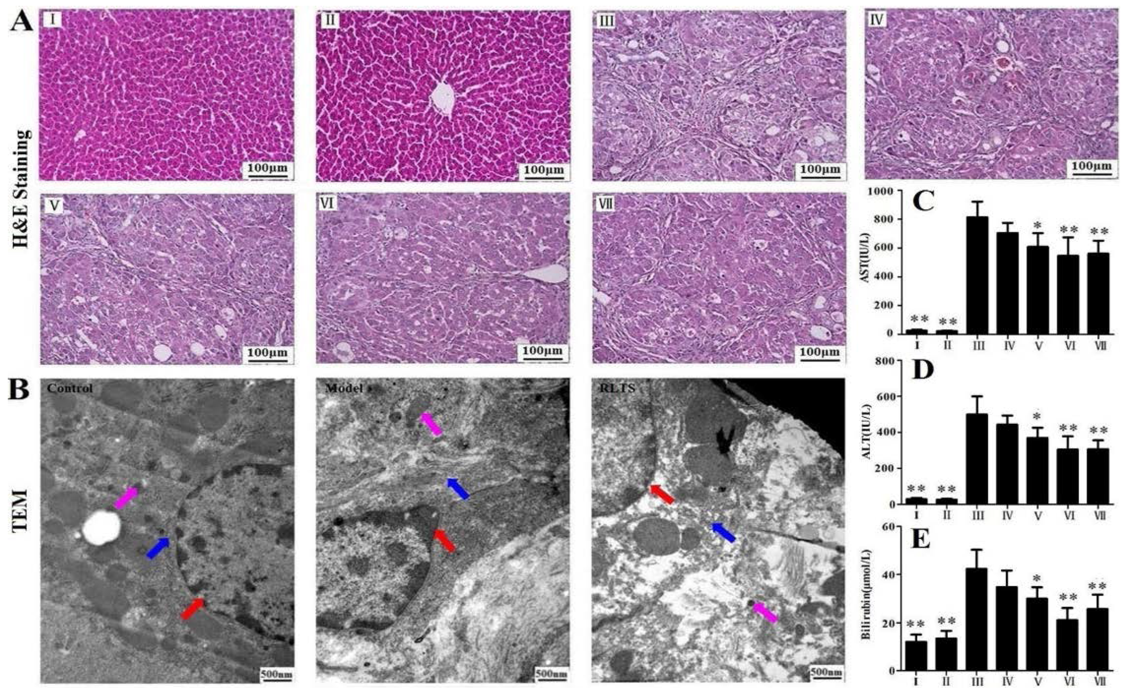 Nutrients 07 04829 g001