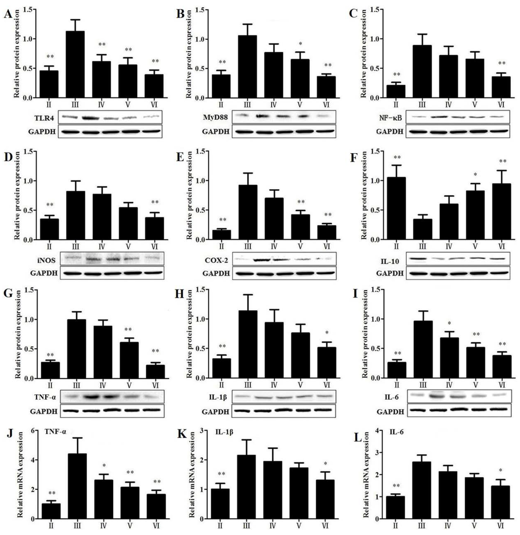 Nutrients 07 04829 g007 1024