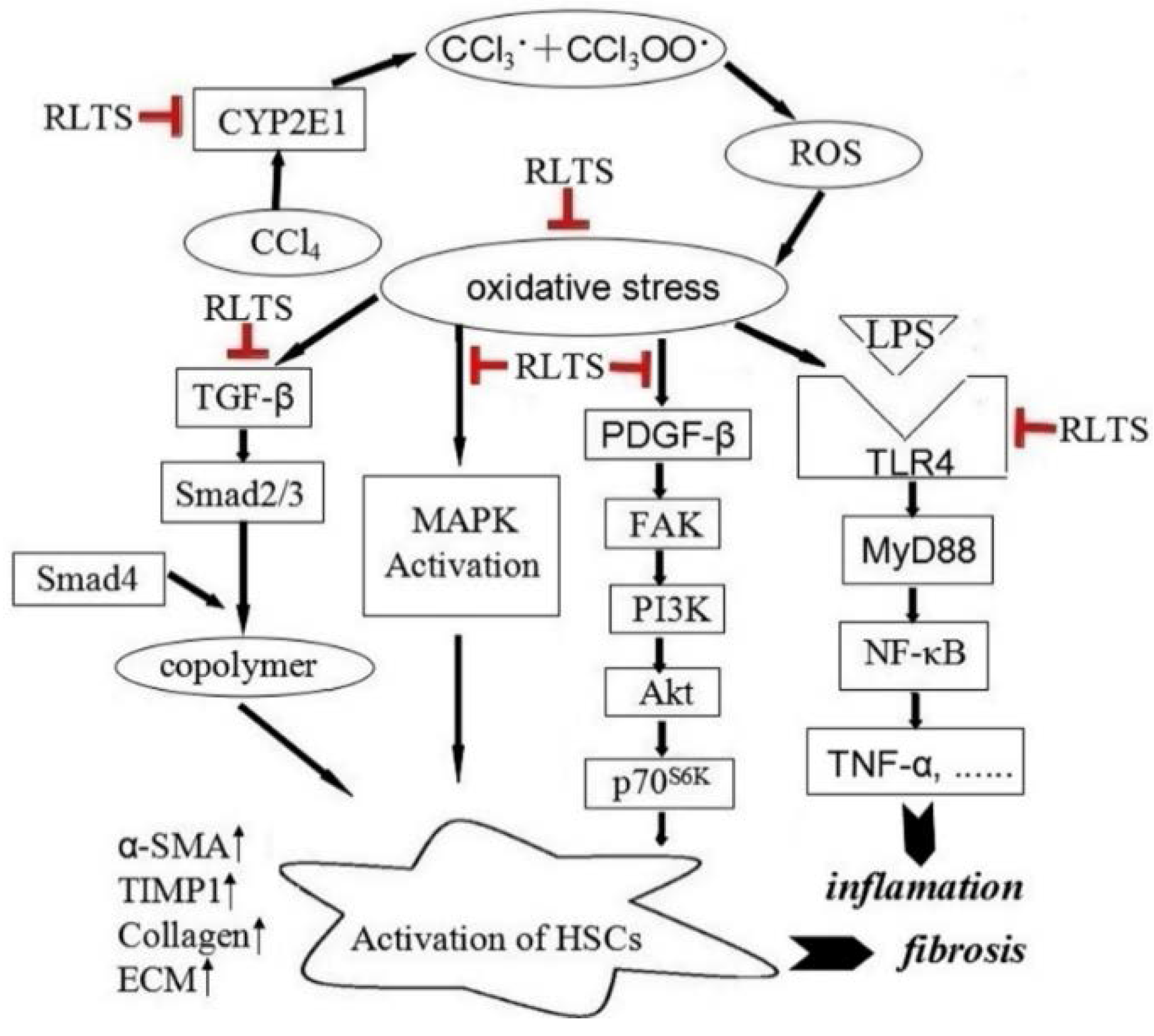 Nutrients 07 04829 g008