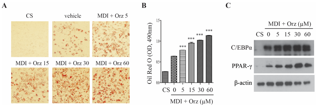 Nutrients 07 04851 g001 1024