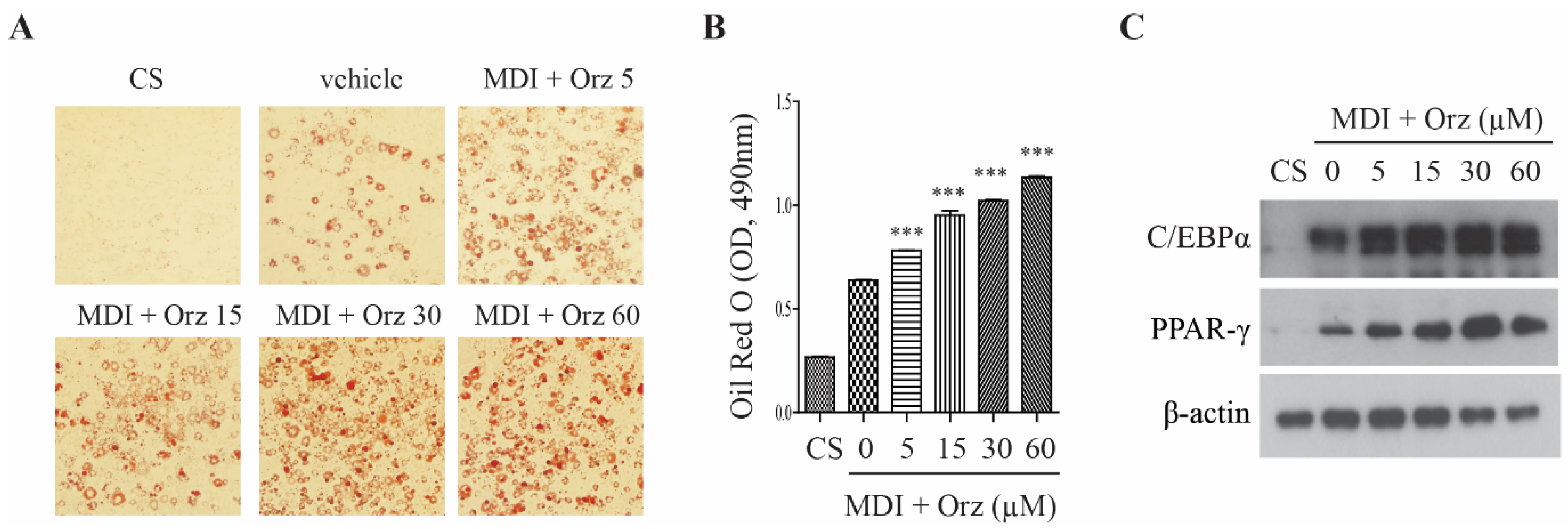 Nutrients 07 04851 g001