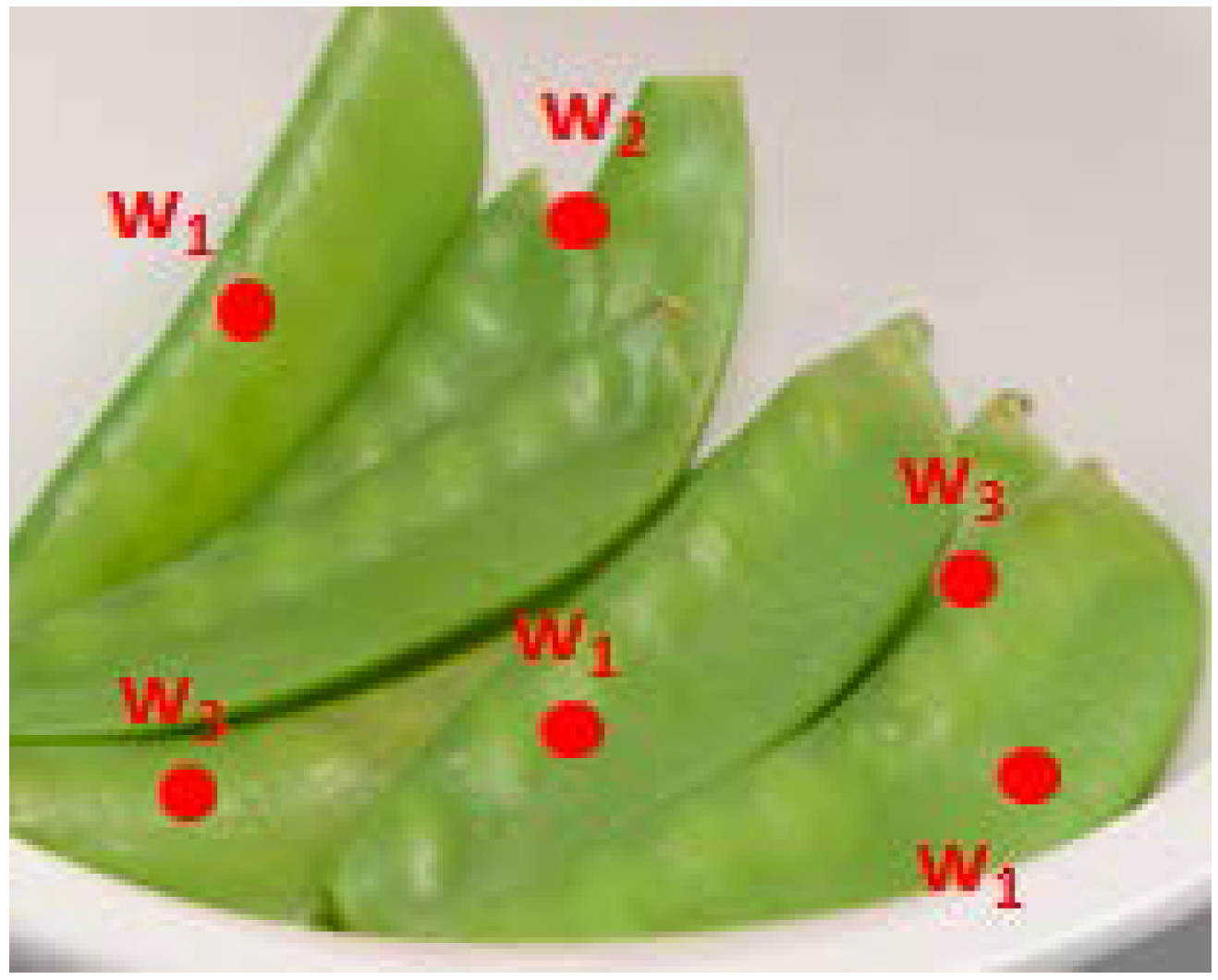 Nutrients 07 05274 g001