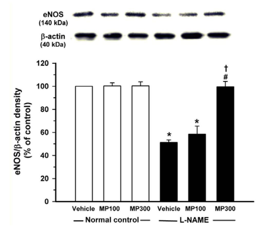 Nutrients 07 05275 g006 1024