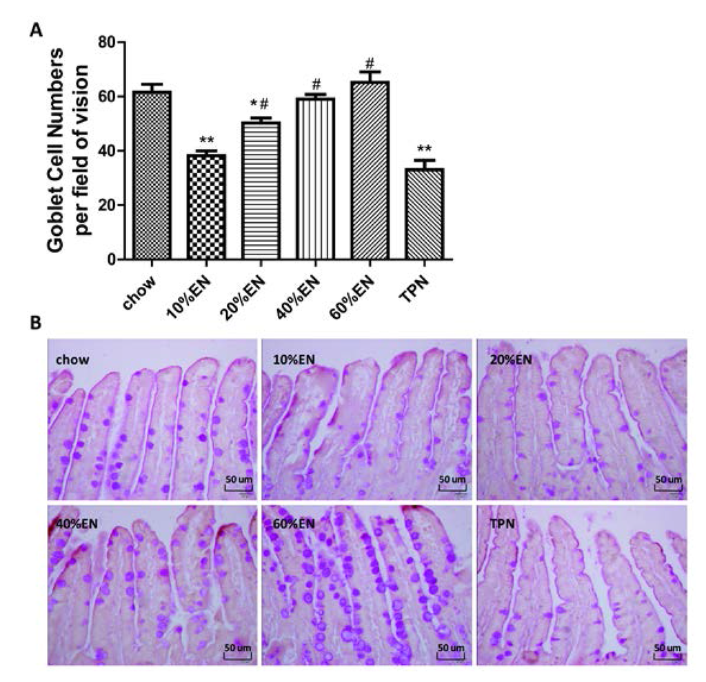 Nutrients 07 05288 g001 1024