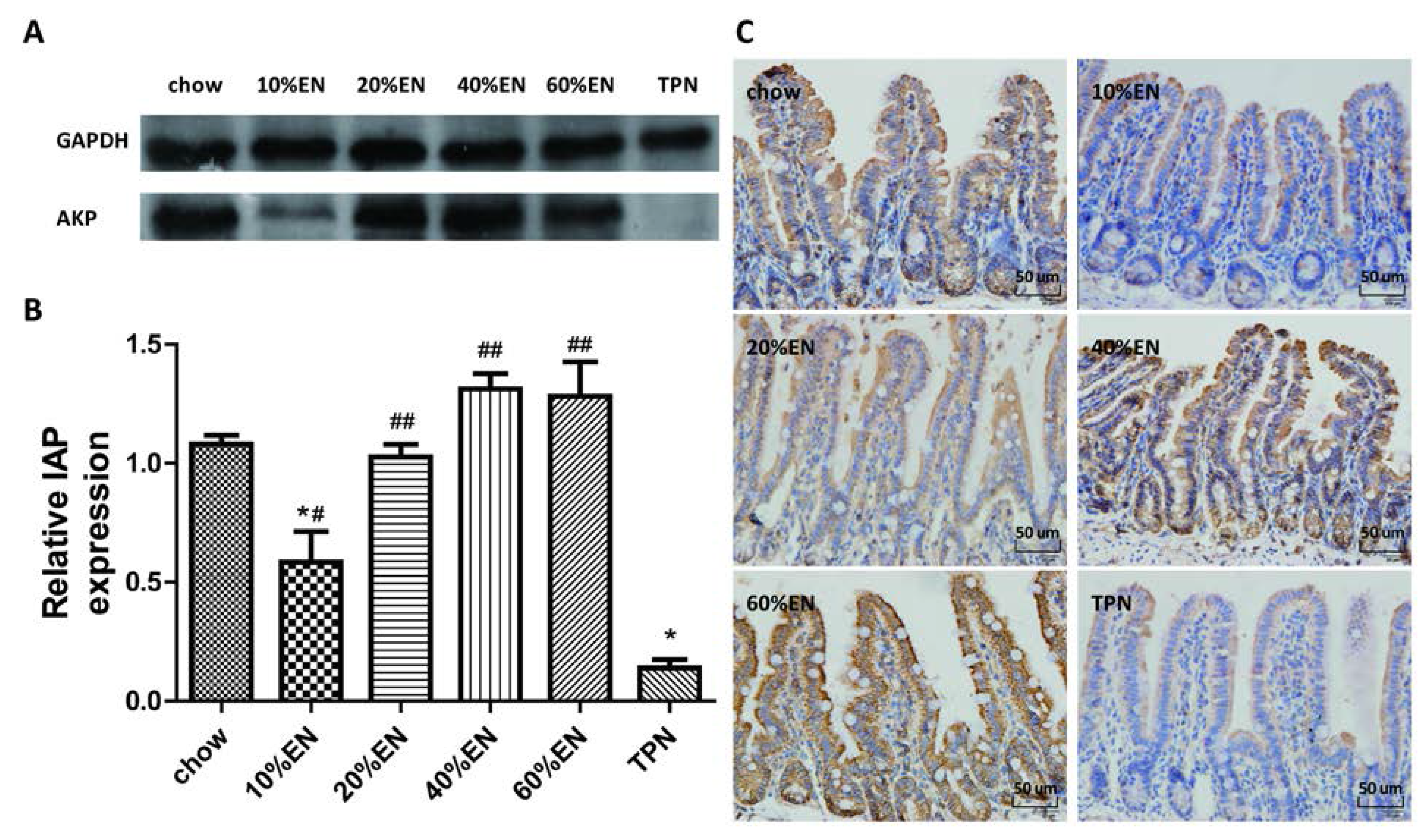 Nutrients 07 05288 g003