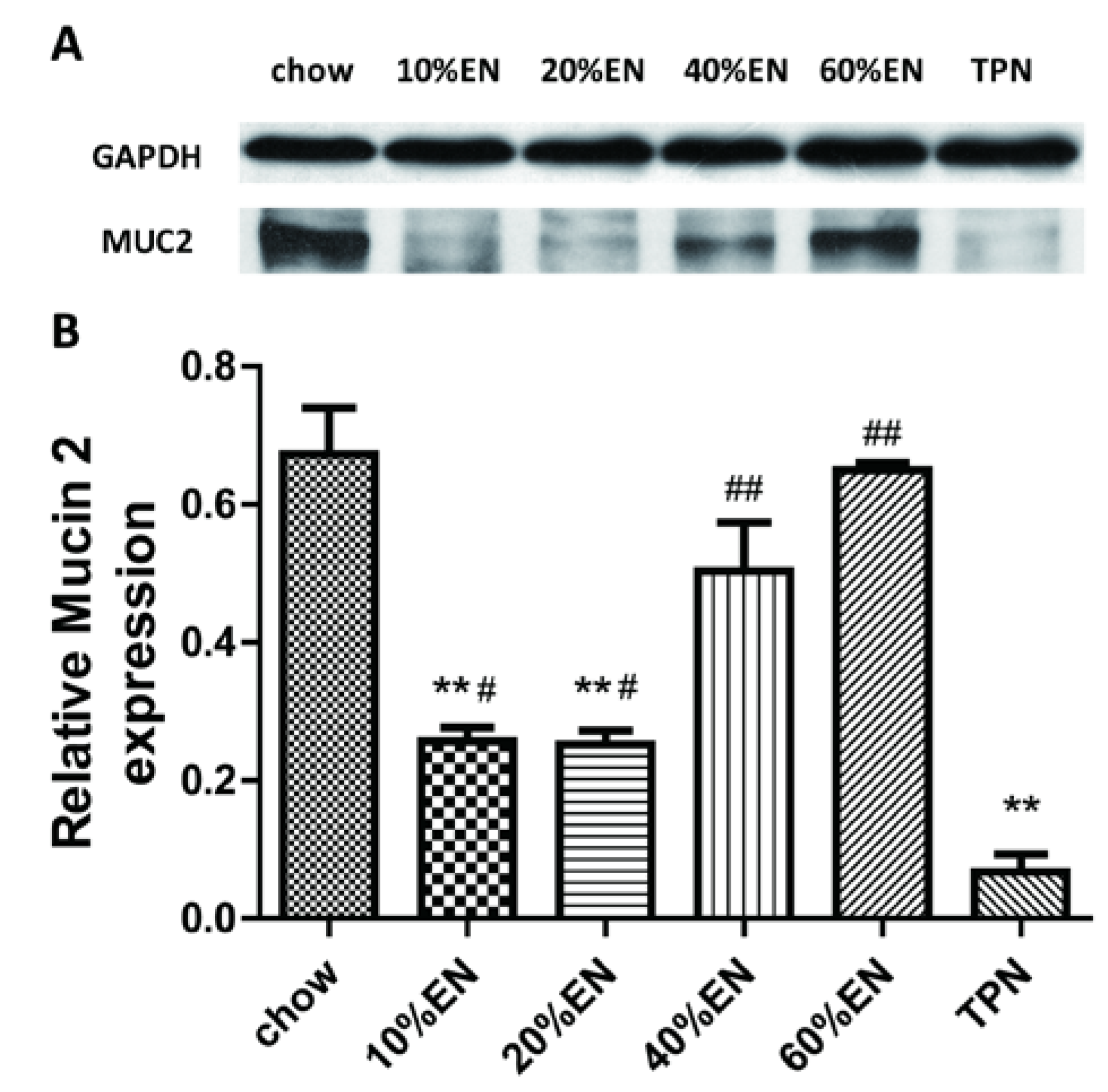 Nutrients 07 05288 g004