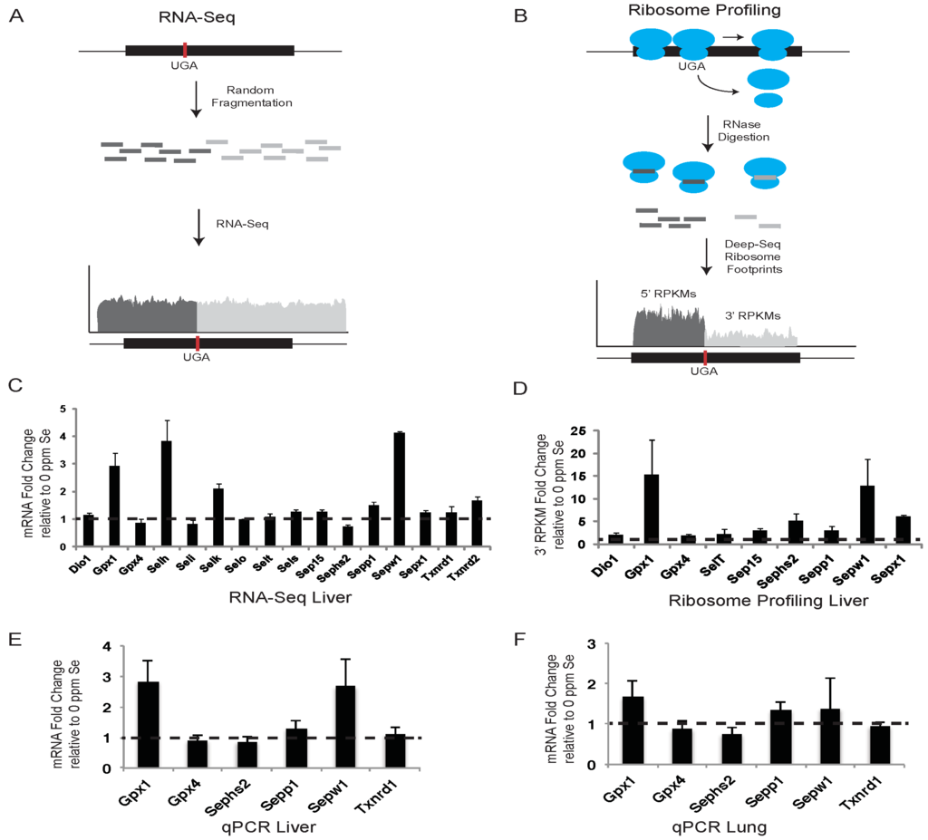 Nutrients 07 05297 g001 1024