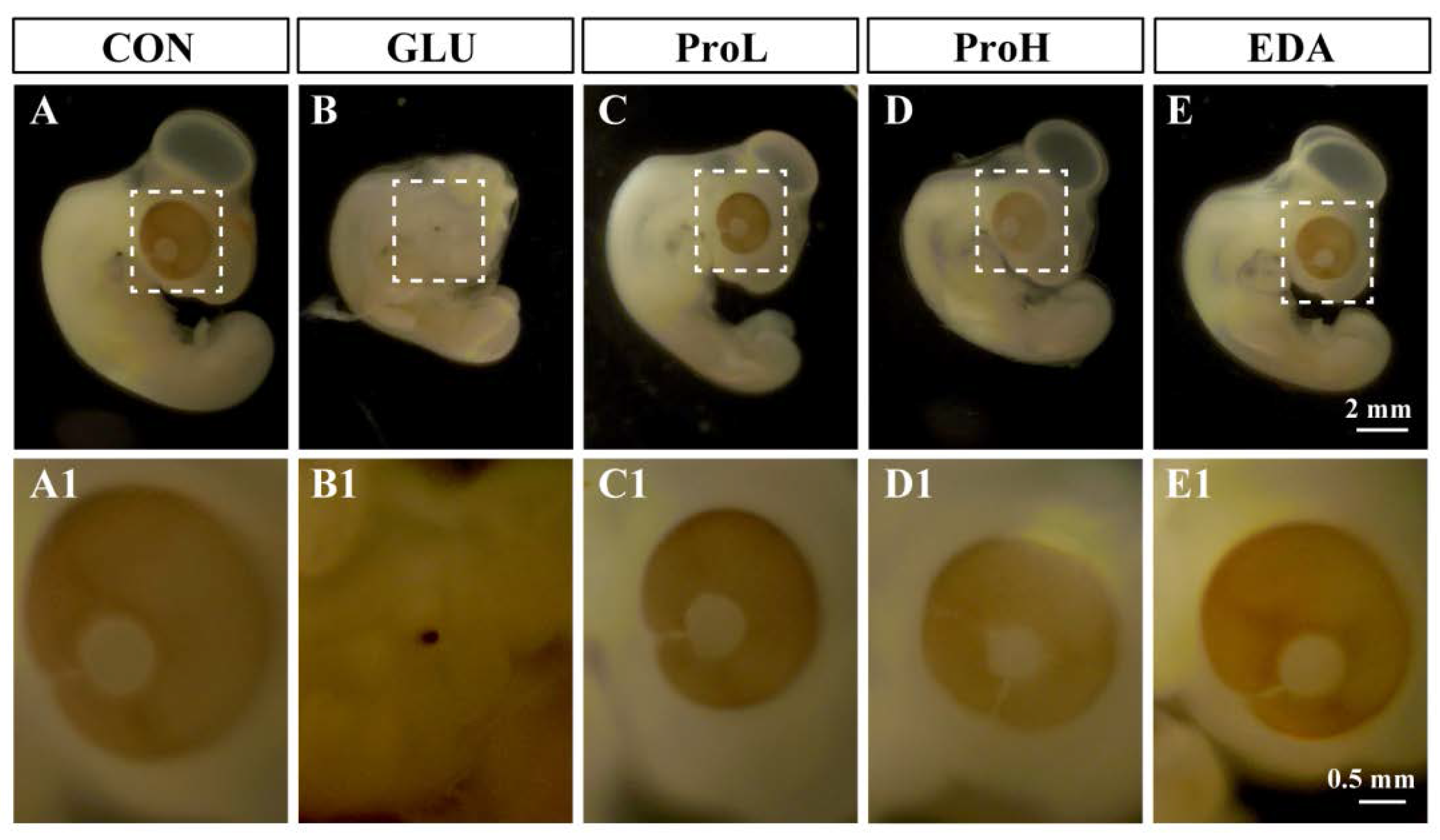 Nutrients 07 05299 g002