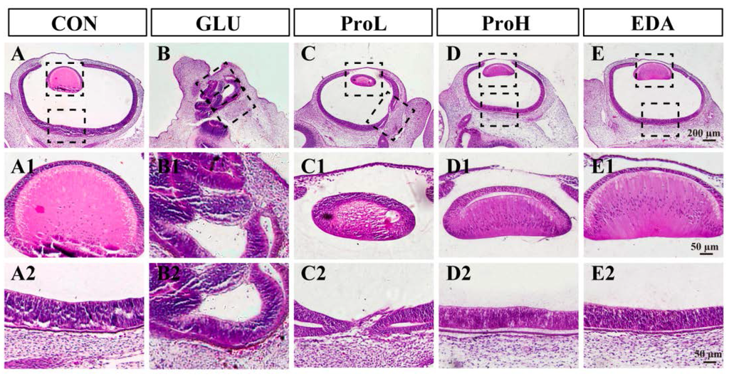 Nutrients 07 05299 g003 1024