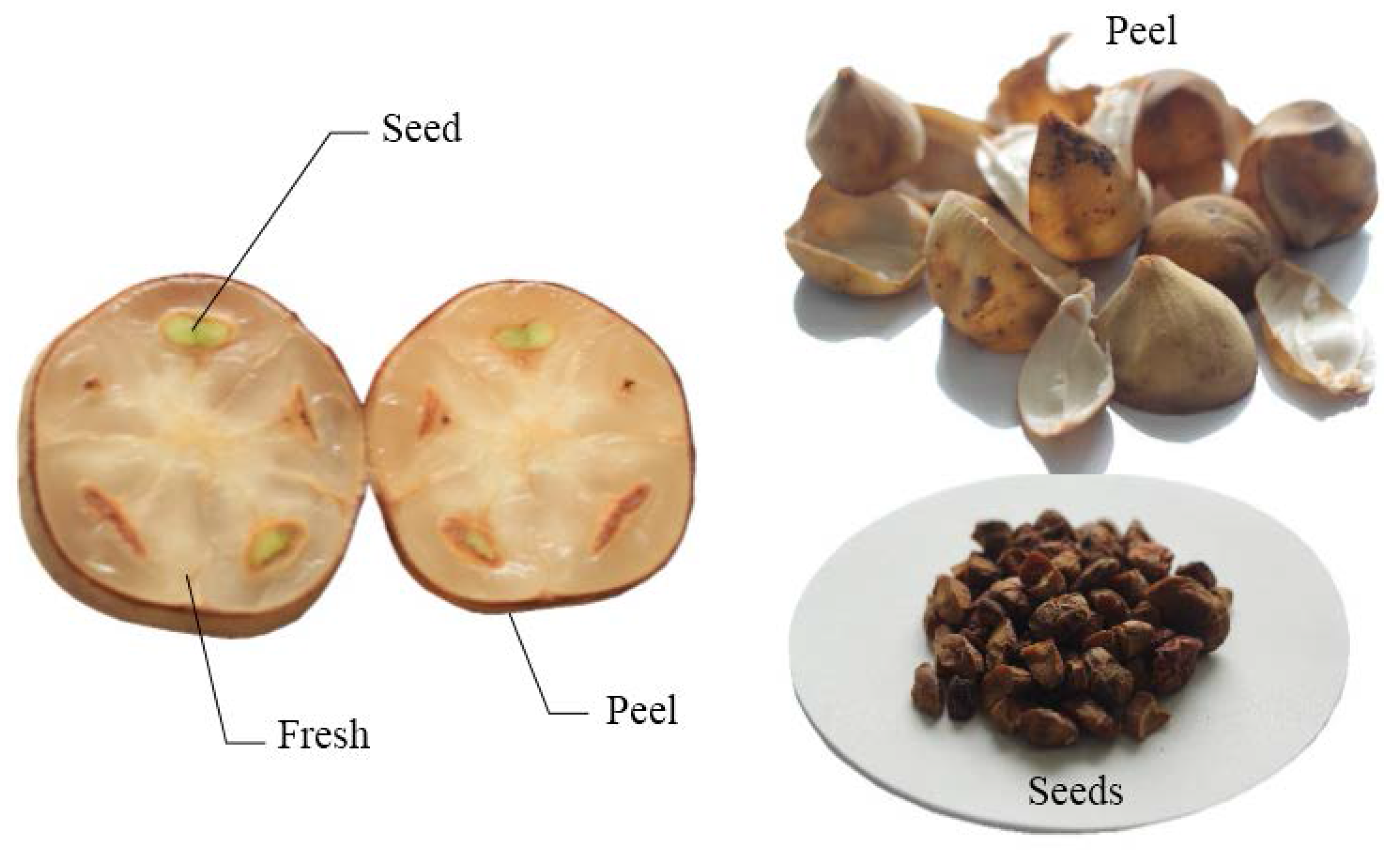 Nutrients 07 05312 g001