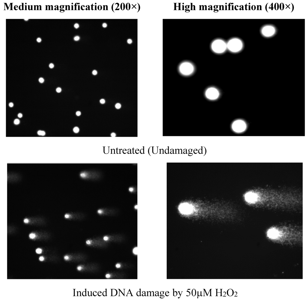 Nutrients 07 05312 g005a 1024