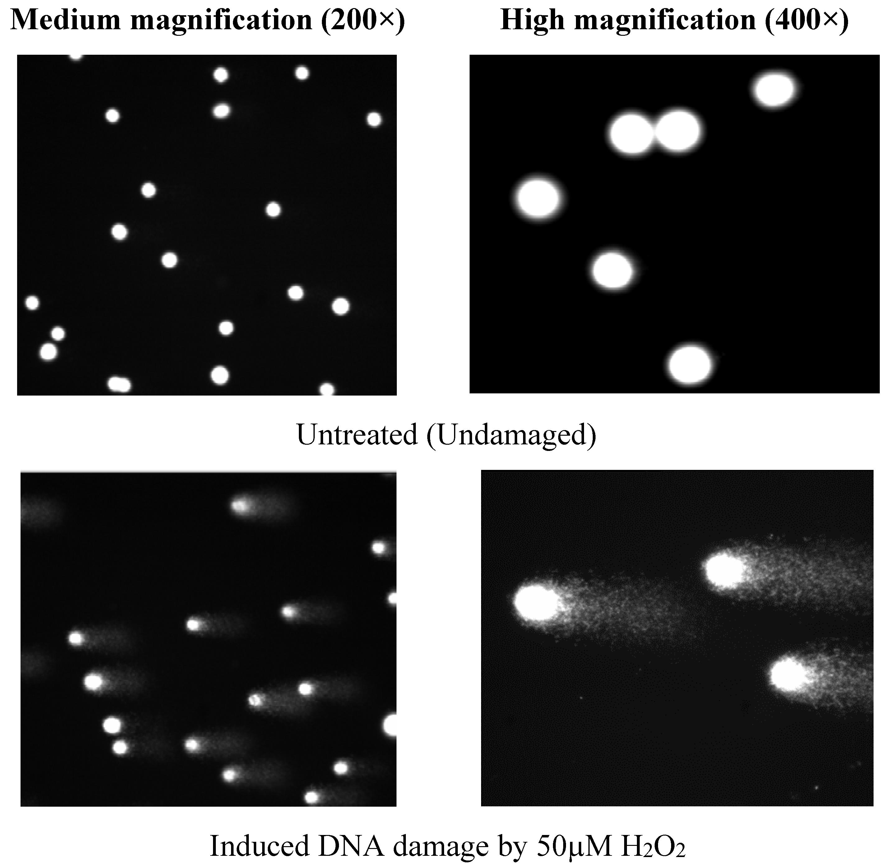 Nutrients 07 05312 g005a