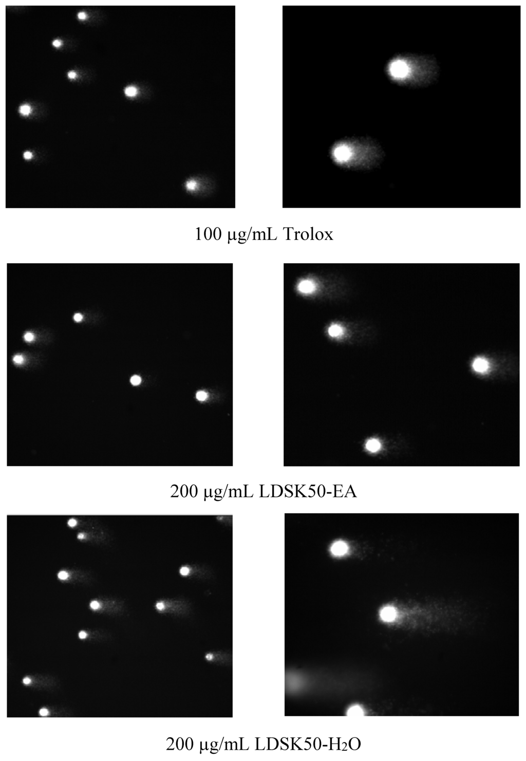 Nutrients 07 05312 g005b 1024