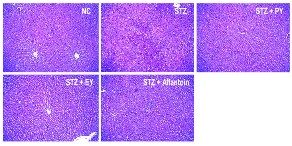 Nutrients 07 05411 g007 1024