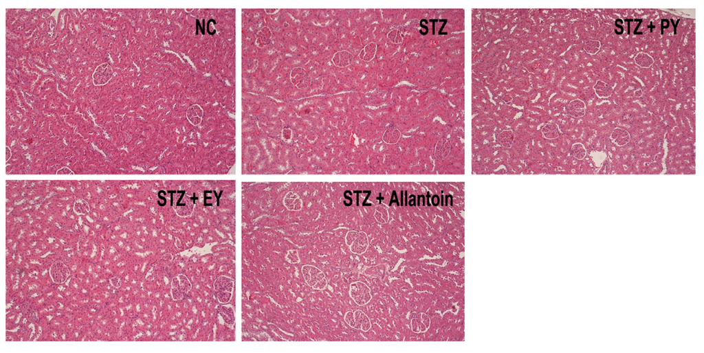 Nutrients 07 05411 g008 1024