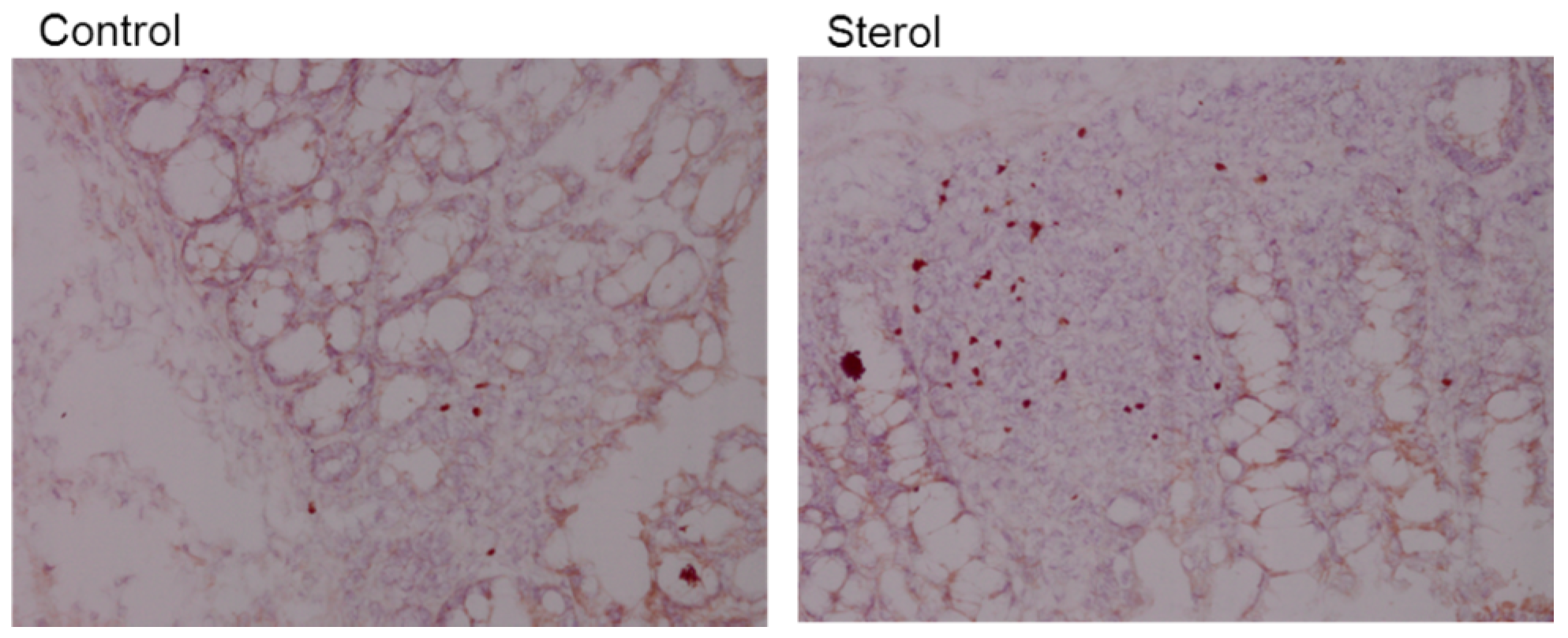 Nutrients 07 05412 g008