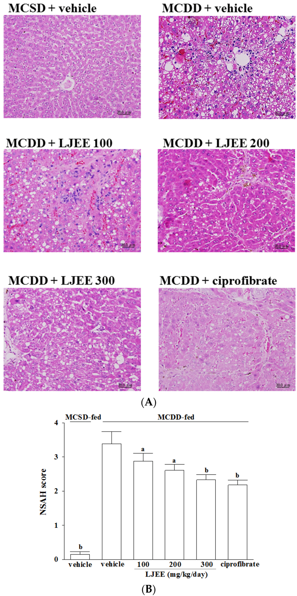 Nutrients 07 05423 g001 1024