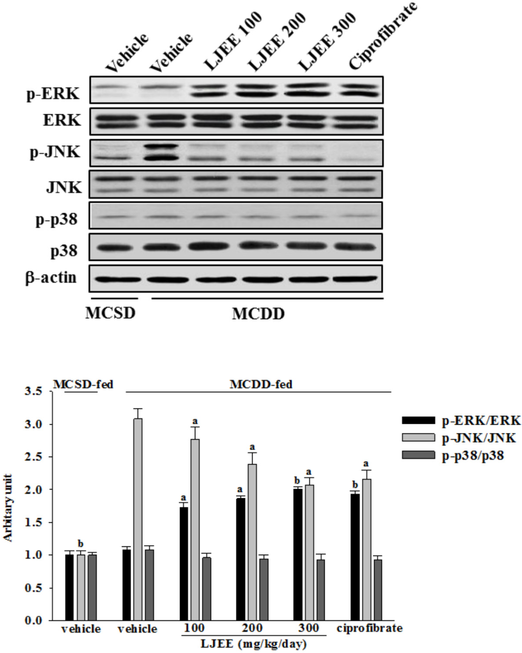 Nutrients 07 05423 g002 1024
