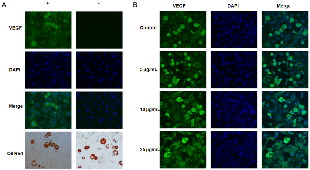 Nutrients 07 05437 g005 1024