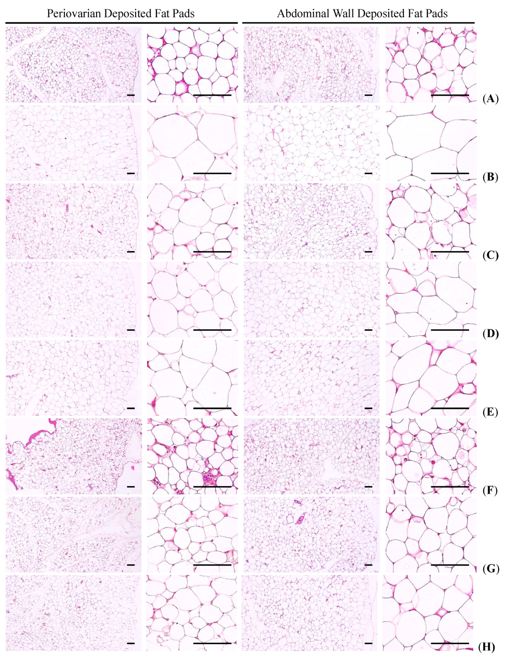 Nutrients 07 05447 g003 1024