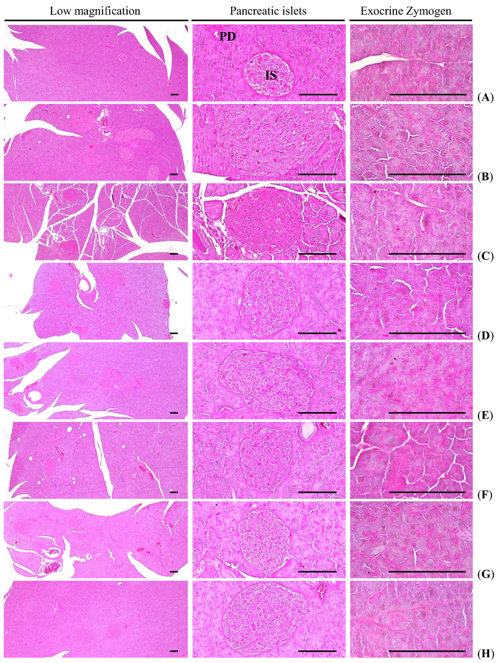 Nutrients 07 05447 g004 1024