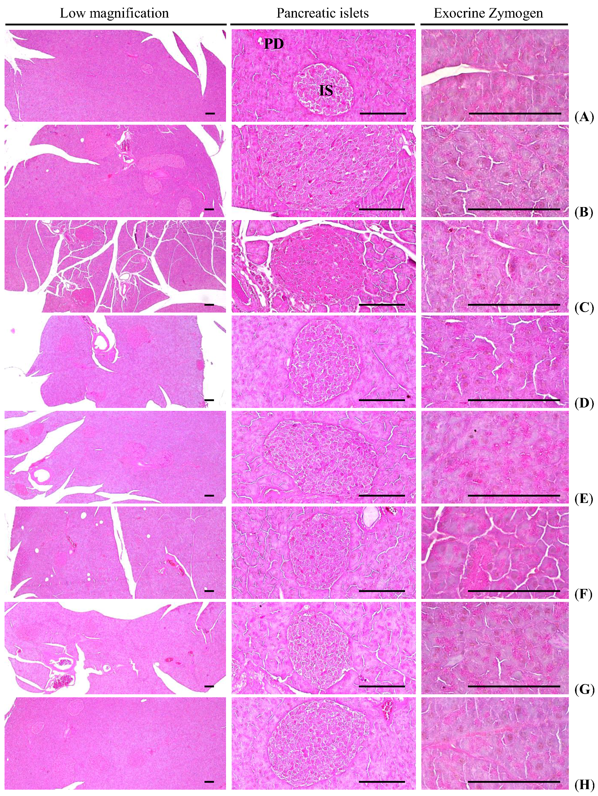 Nutrients 07 05447 g004