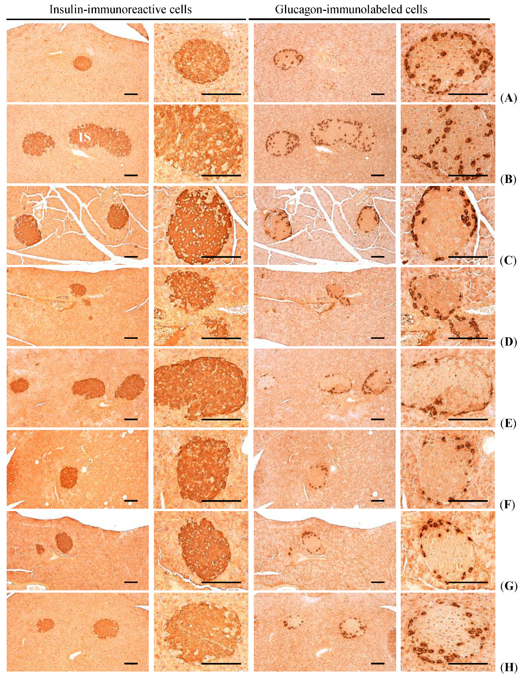 Nutrients 07 05447 g006