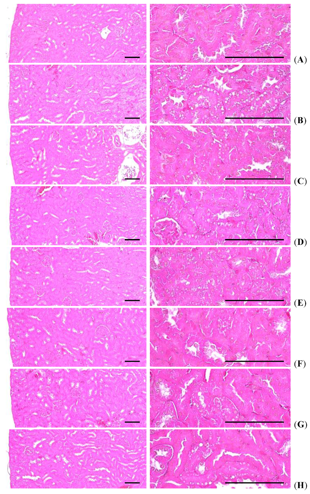 Nutrients 07 05447 g009 1024