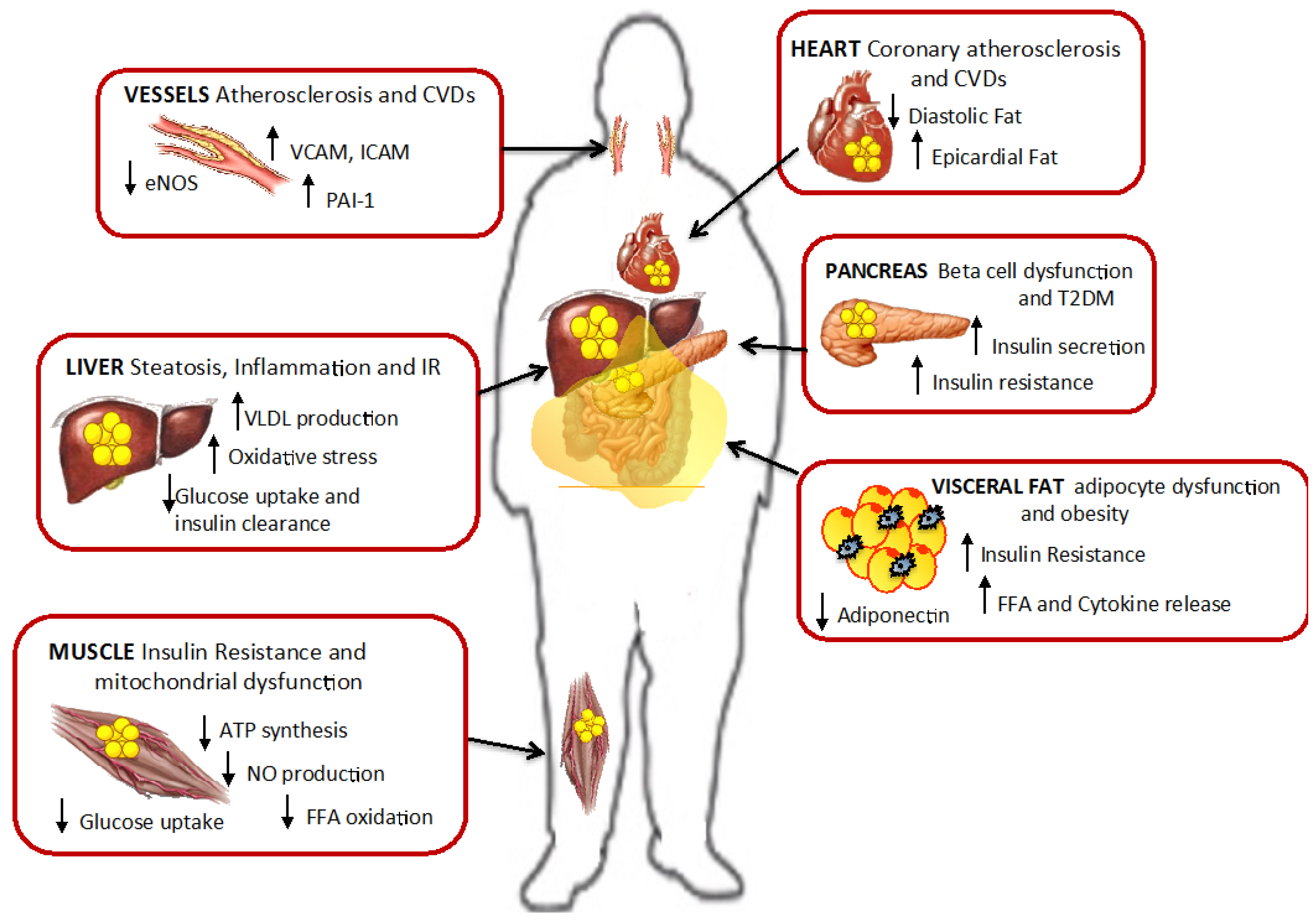Nutrients 07 05475 g006