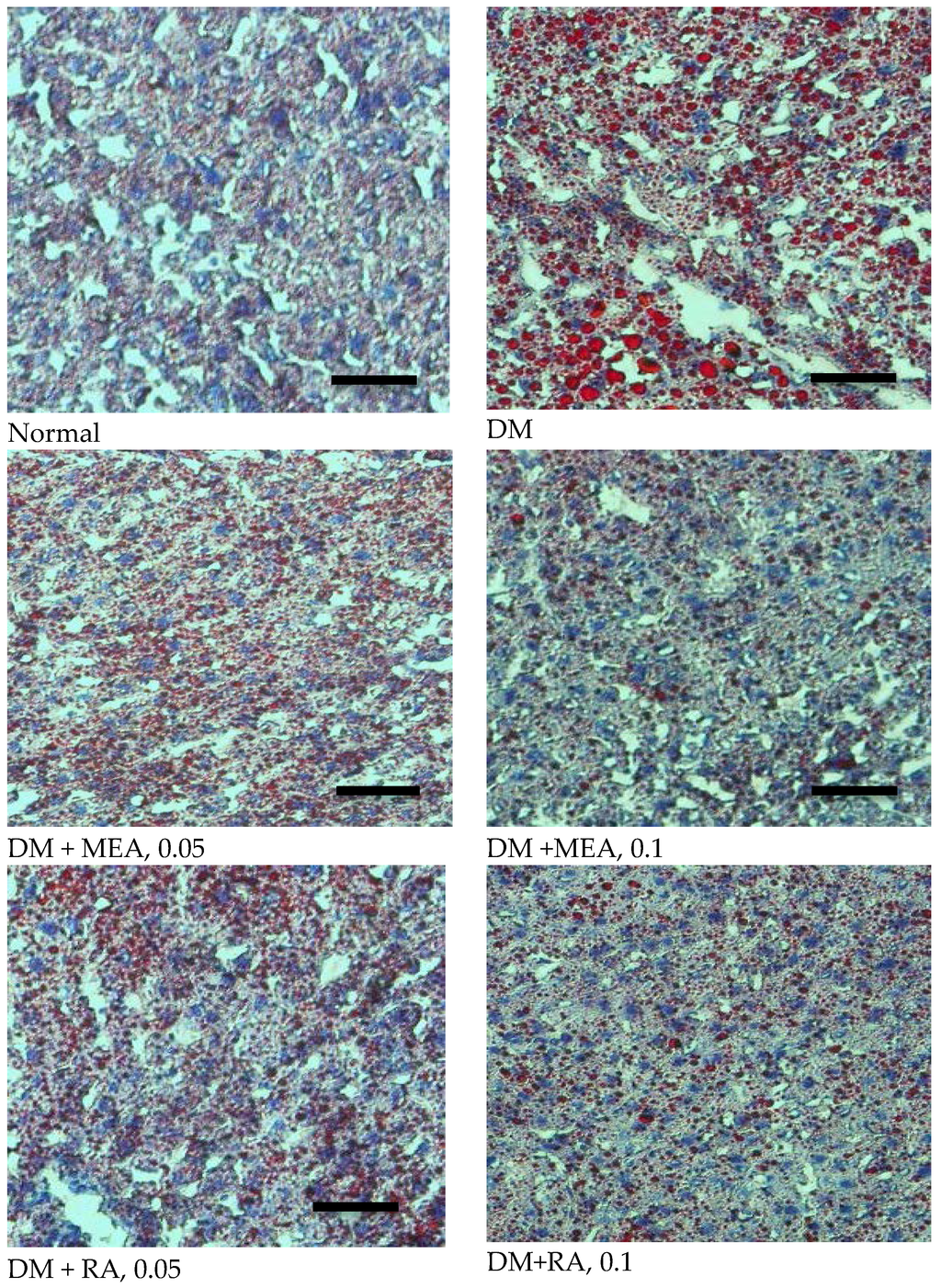Nutrients 07 05512 g003 1024