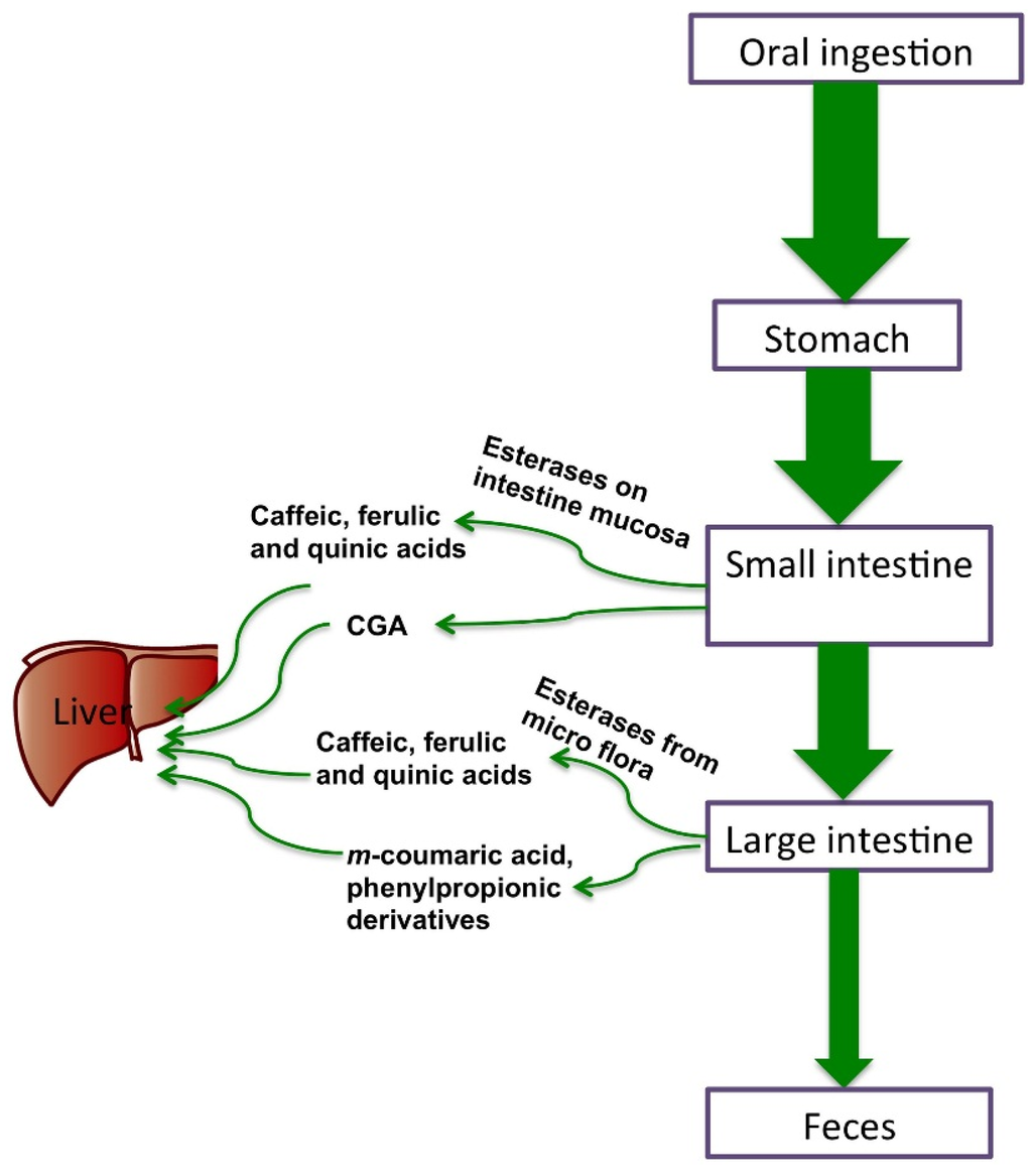 Nutrients 08 00016 g002 1024