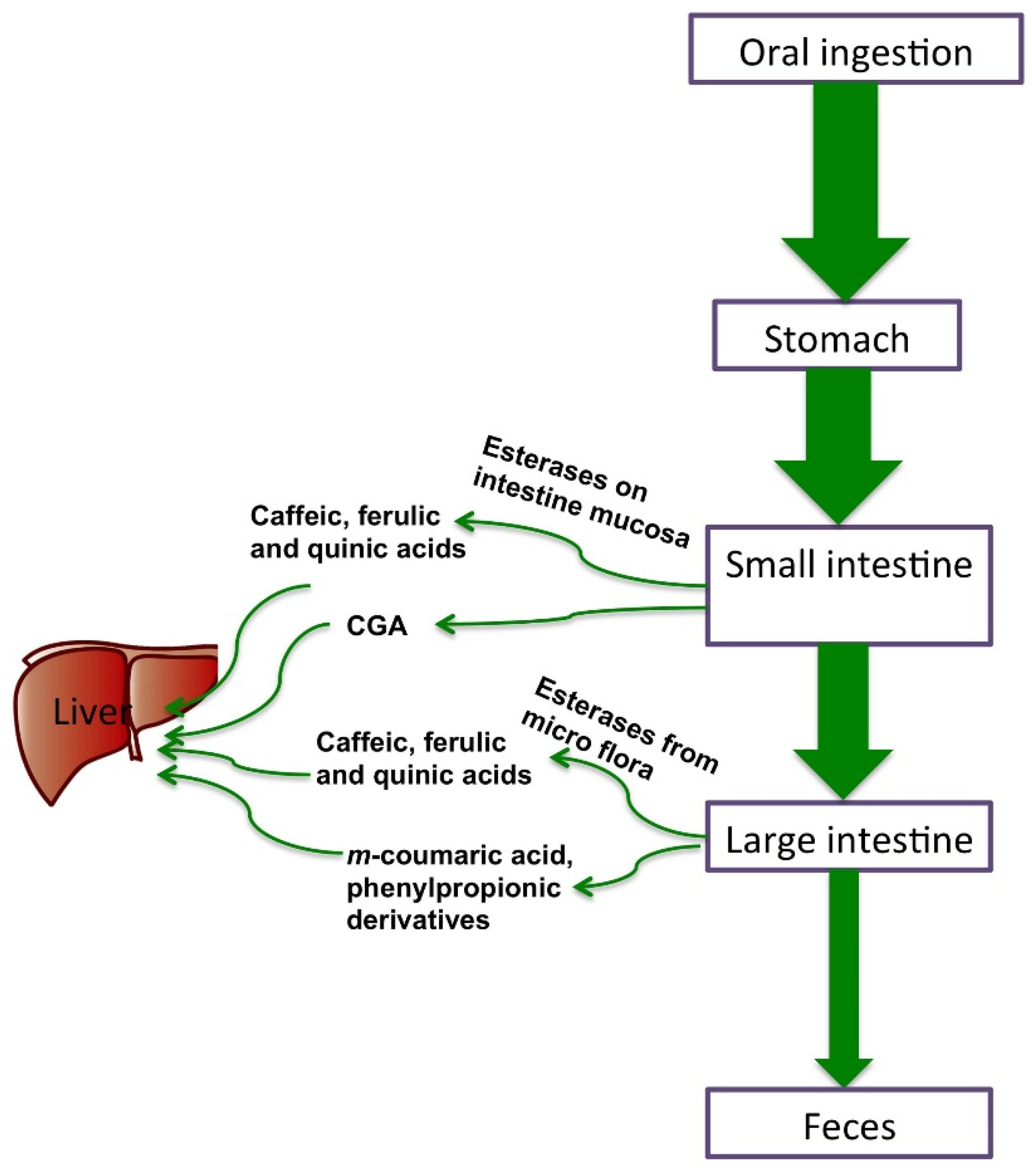 Nutrients 08 00016 g002