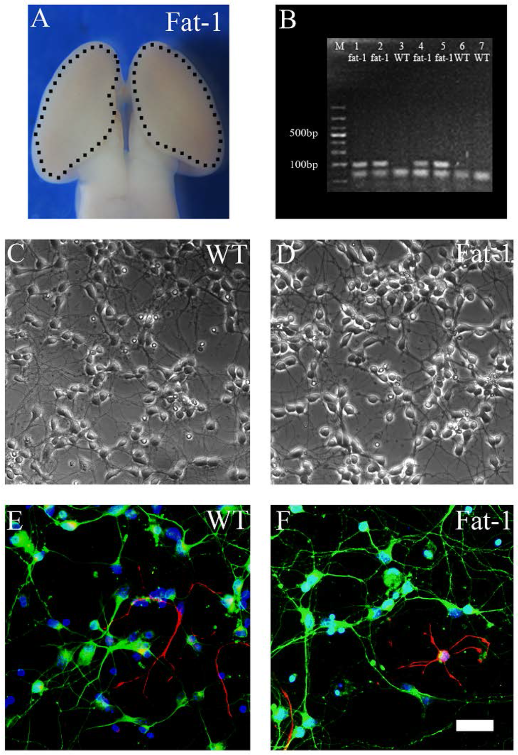 Nutrients 08 00041 g001 1024