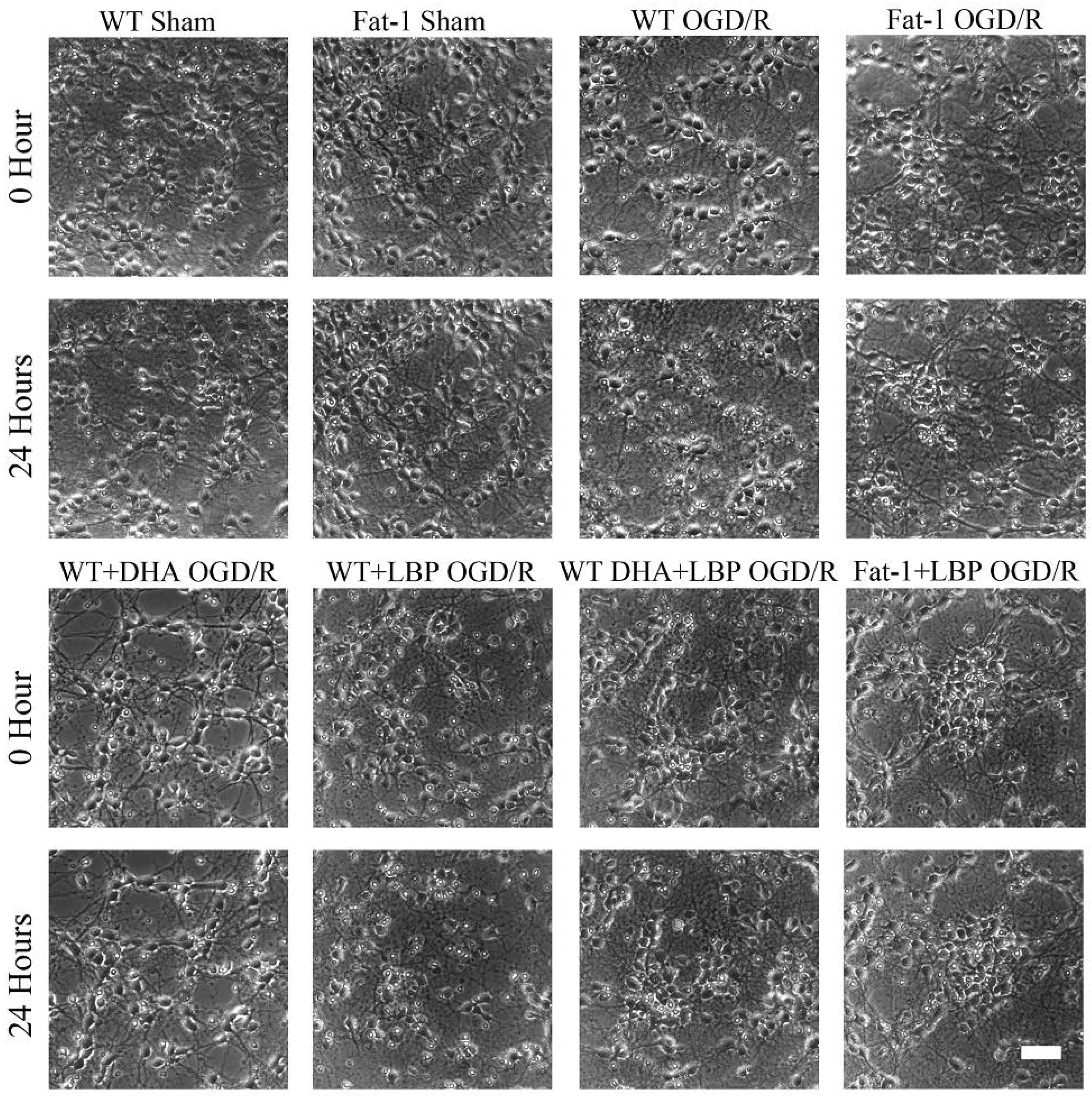 Nutrients 08 00041 g002