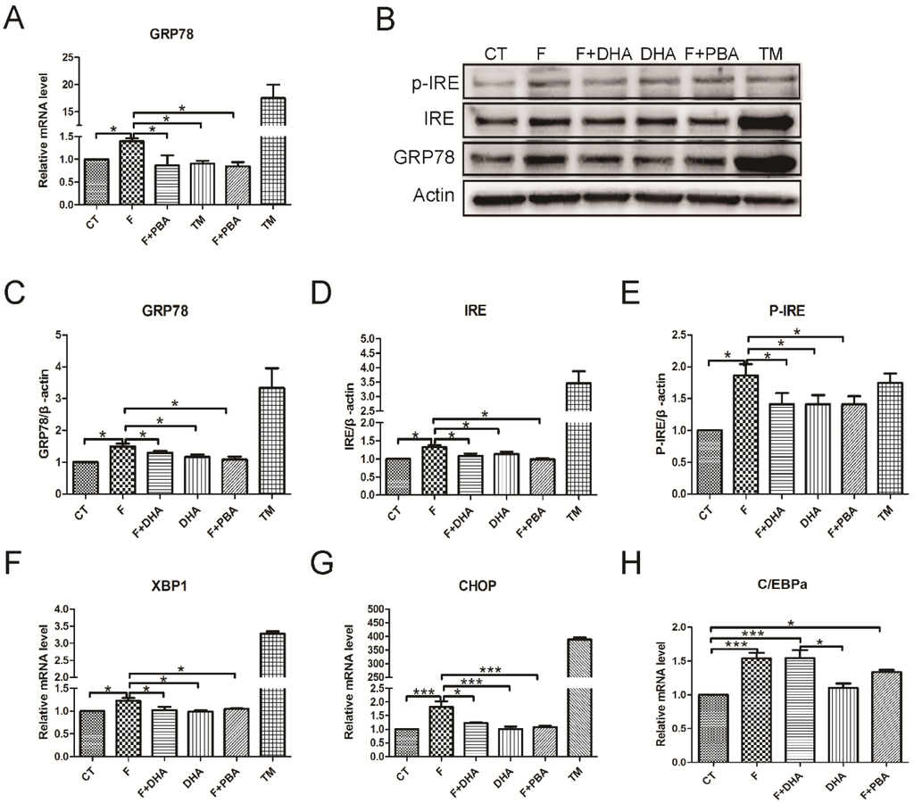 Nutrients 08 00055 g005 1024