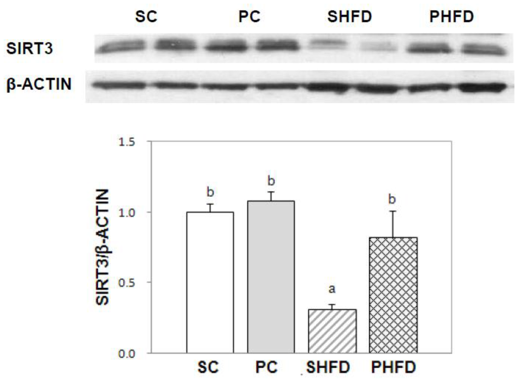Nutrients 08 00059 g004 1024