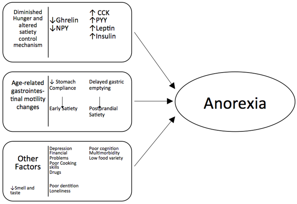 Nutrients 08 00069 g001 1024