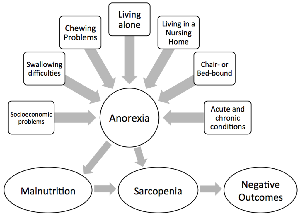 Nutrients 08 00069 g003 1024