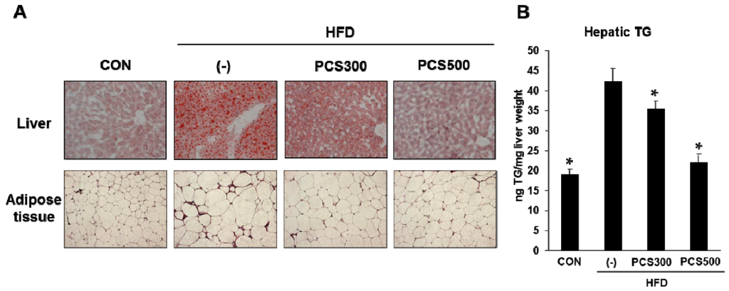 Nutrients 08 00083 g004 1024