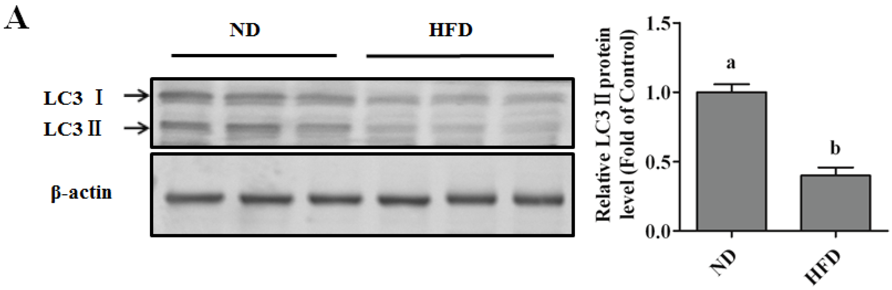 Nutrients 08 00227 g002a