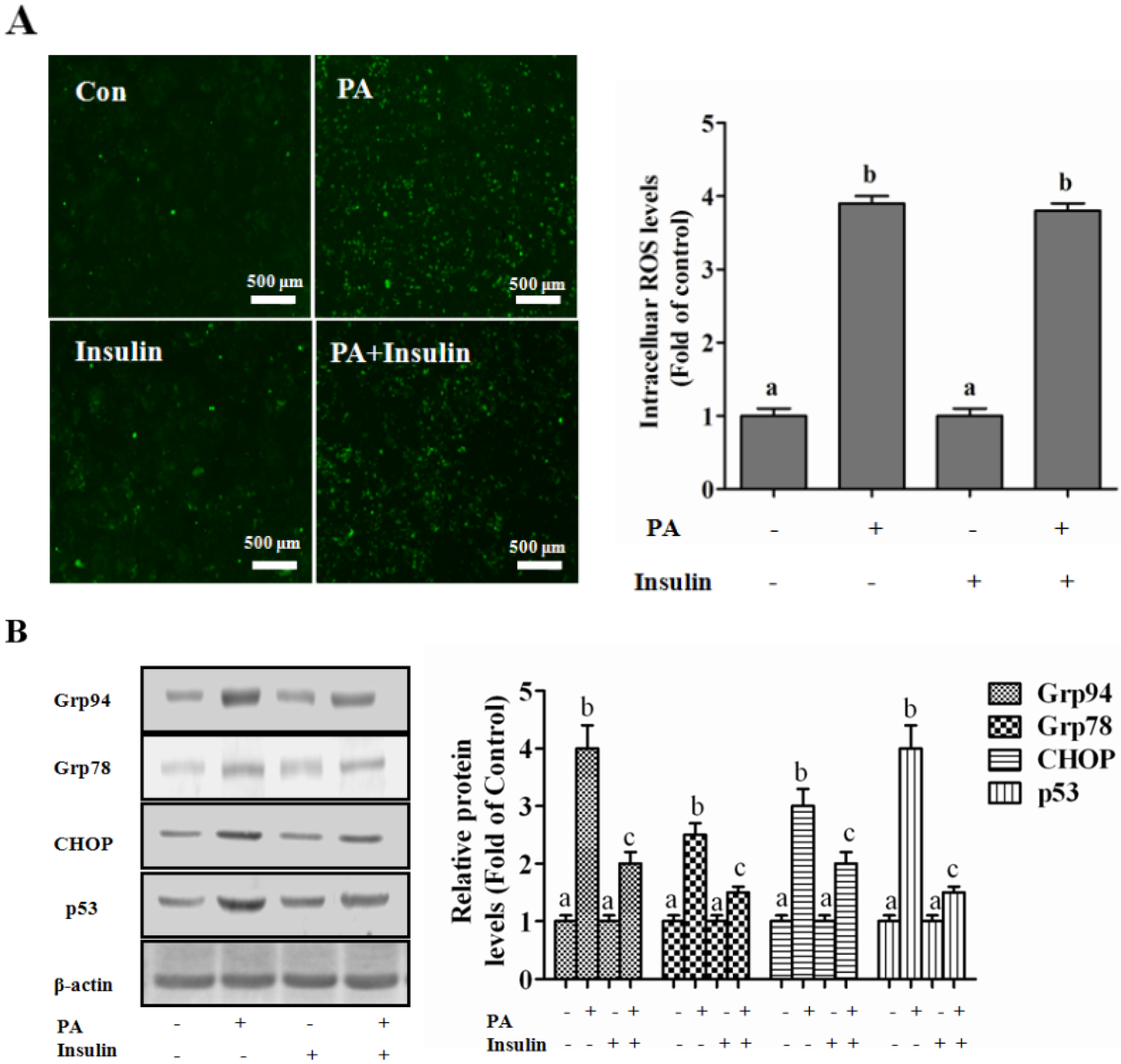 Nutrients 08 00227 g006a