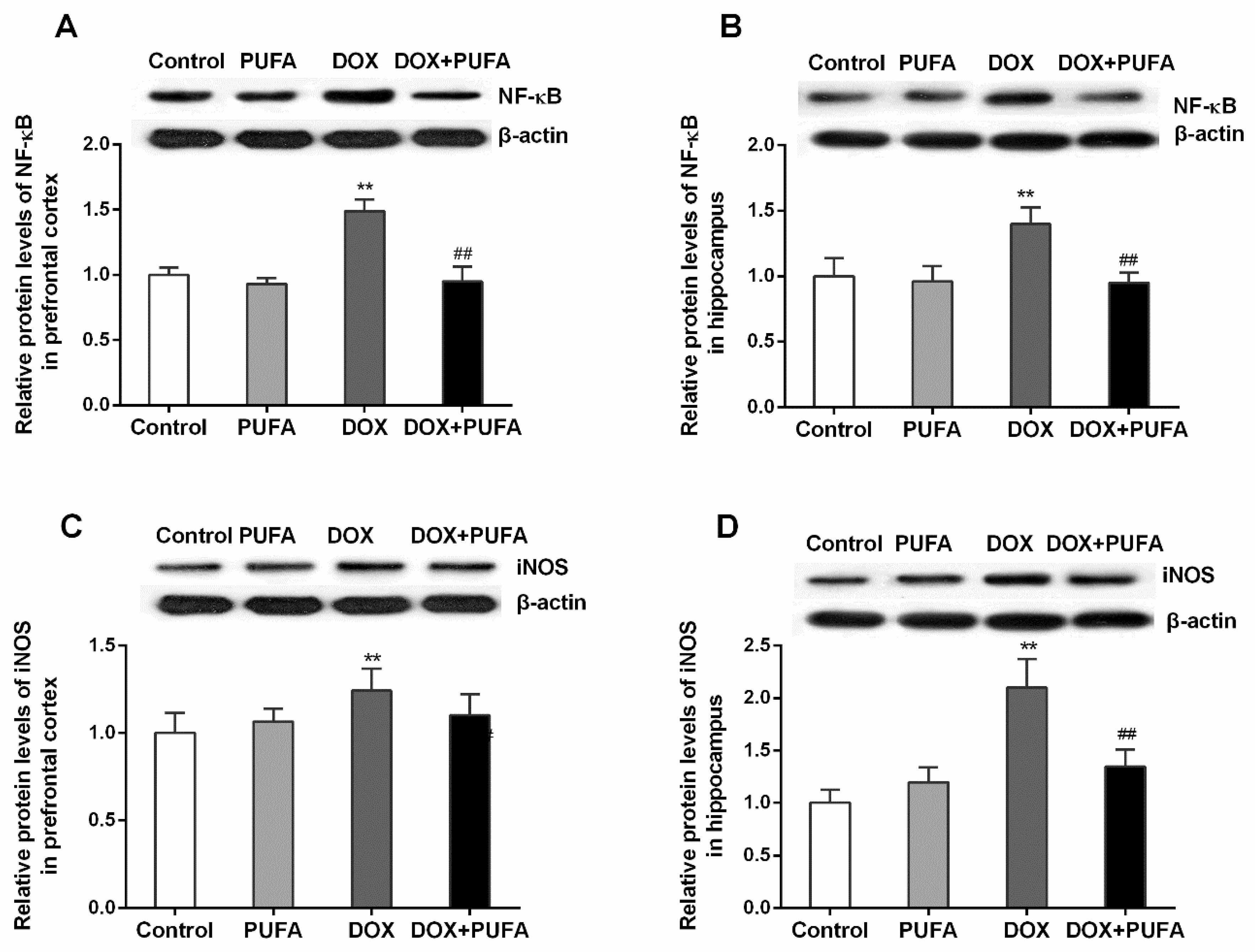 Nutrients 08 00243 g004
