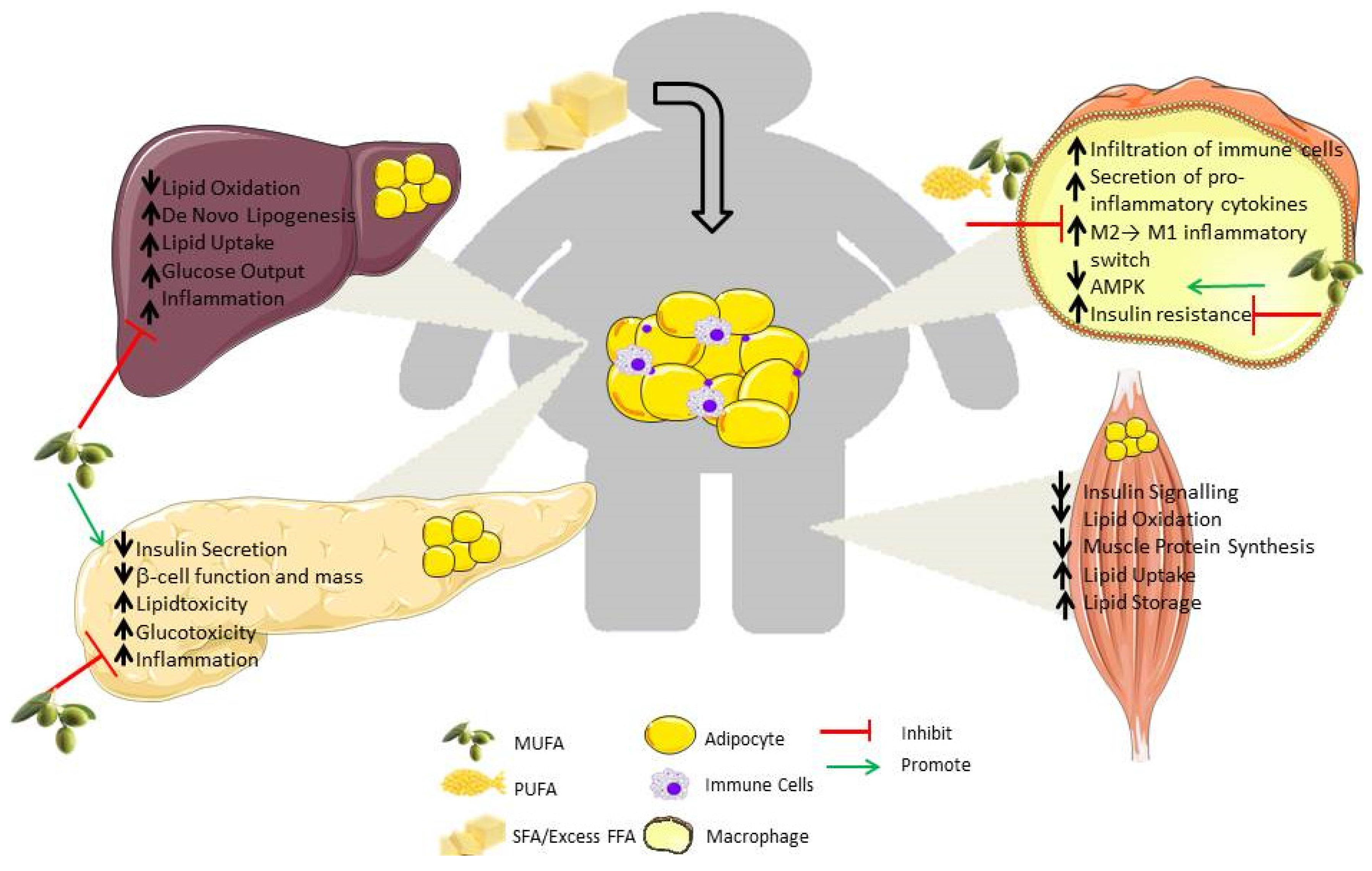 Nutrients 08 00247 g001