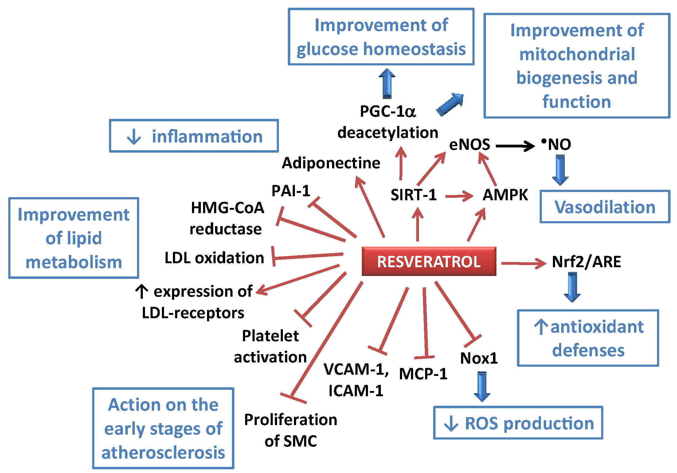 Nutrients 08 00250 g002
